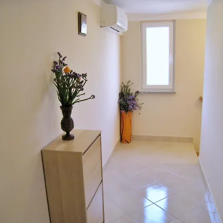 Nidisa By Interhome Apartment